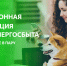 электронная квитанция от АтомЭнергоСбыта – удобный способ оплачивать без комиссии услуги ЖКХ по единому счету - фото - 1 - Глинковский район