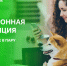 электронную квитанцию получил – через цифровые сервисы оплатил - фото - 1 - Глинковский район